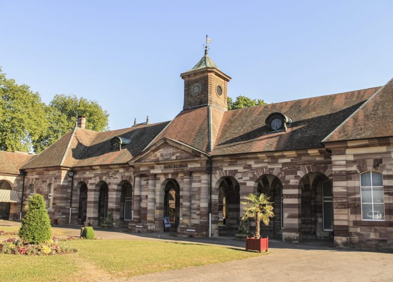 Visites guidées des Thermes de Luxeuil-les-Bains