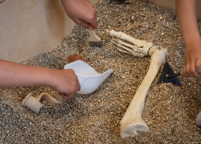 Visite de l’Ecclesia et atelier de fouille archéologique – Enfants